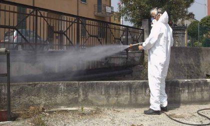 Rischio topi: chiusa per derattizzazione la materna di Badalucco