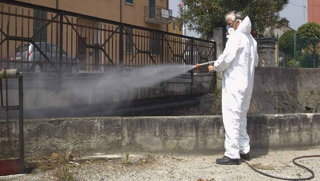 Rischio topi: chiusa per derattizzazione la materna di Badalucco