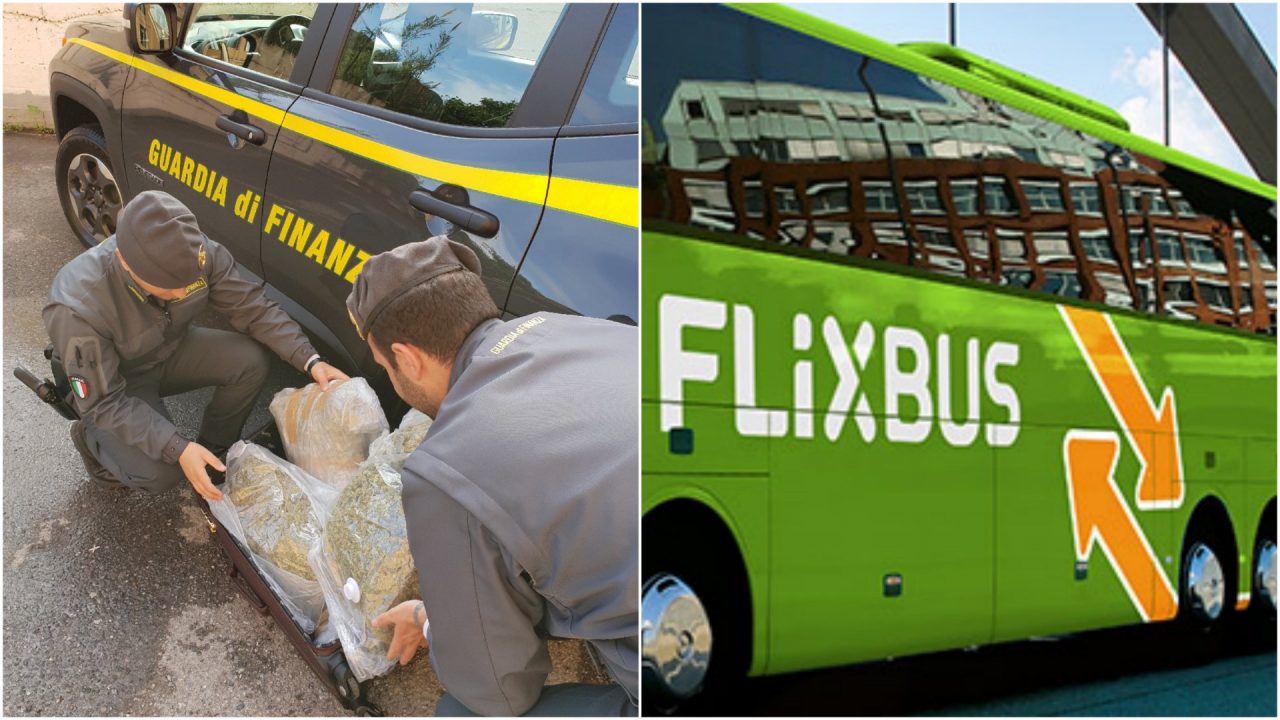 FlixBus a bordo una valigia piena di marijuana senza proprietario