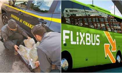 FlixBus a bordo una valigia piena di marijuana senza proprietario