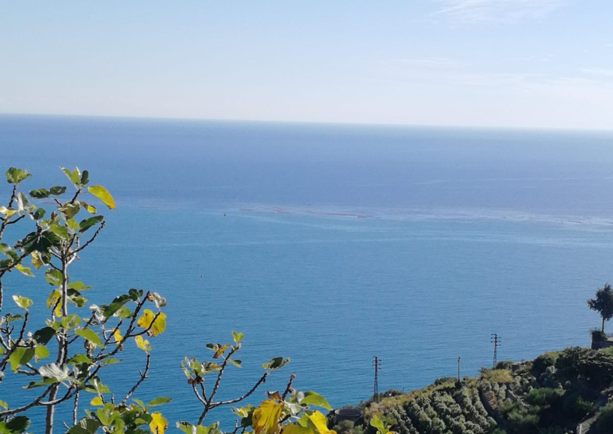 Marea nera minaccia la costa tra Sanremo e Bordighera