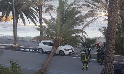 Palma si abbatte su Renault Clio, tragedia sfiorata a Sanremo