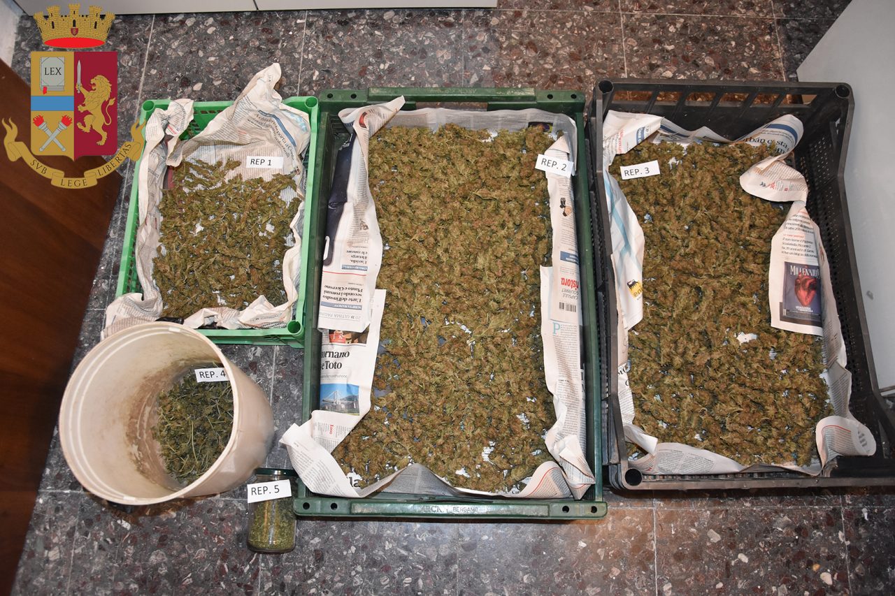 Settantenne coltivava marijuana in campagna, scattano le manette