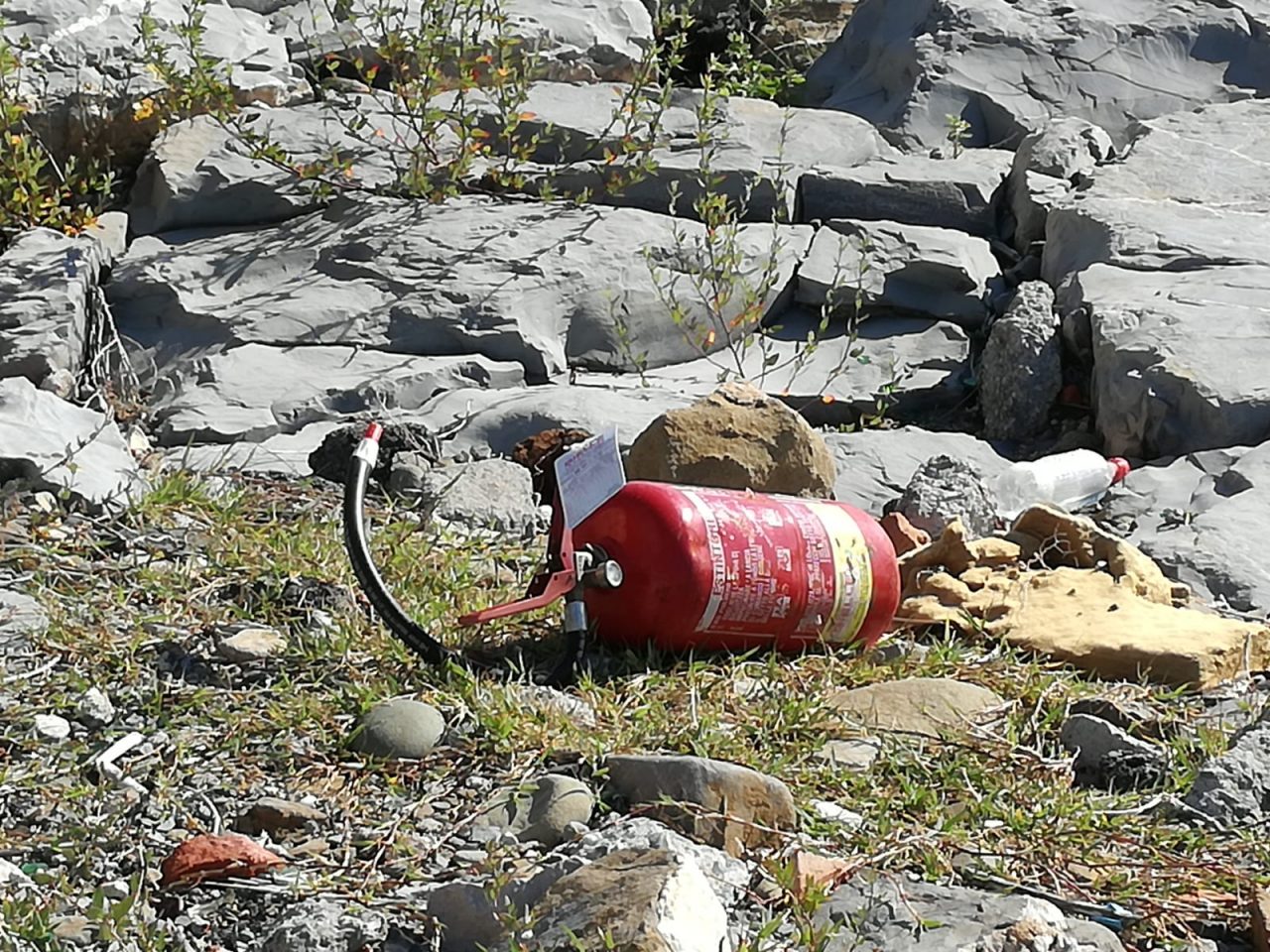 AAA proprietario estintore cercasi