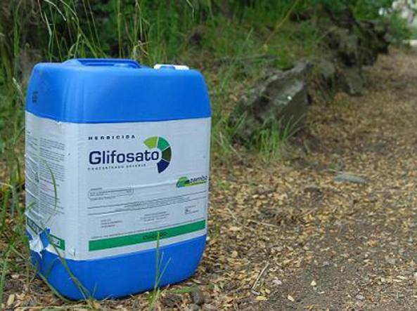 Glifosato nuovi divieti e restrizioni nel Comune di Sanremo