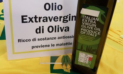 Olio in Italia da incubo (-38%) ma la Liguria è regina con un incremento del 50%