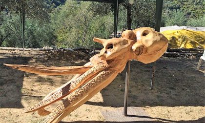 Successo per il primo simposio di scultura del legno d'ulivo