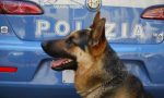Blitz della polizia a Ventimiglia Alta: 4 arresti e quattro chili circa di stupefacenti sequestrati