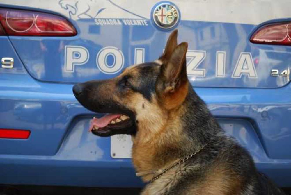 Controlli della polizia con i cani antidroga nella Pigna