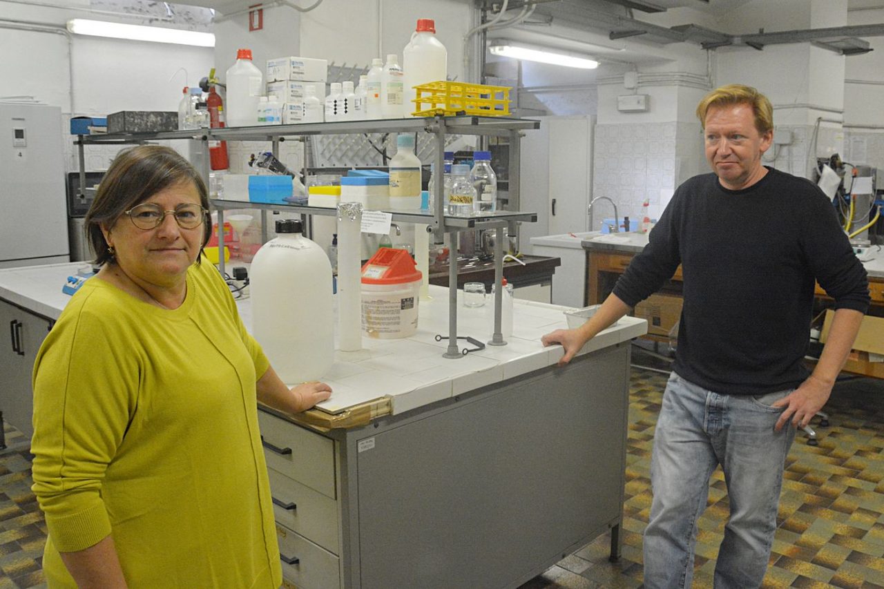 Da Sanremo alle tavole degli italiani: in arrivo 40 fiori da mangiare