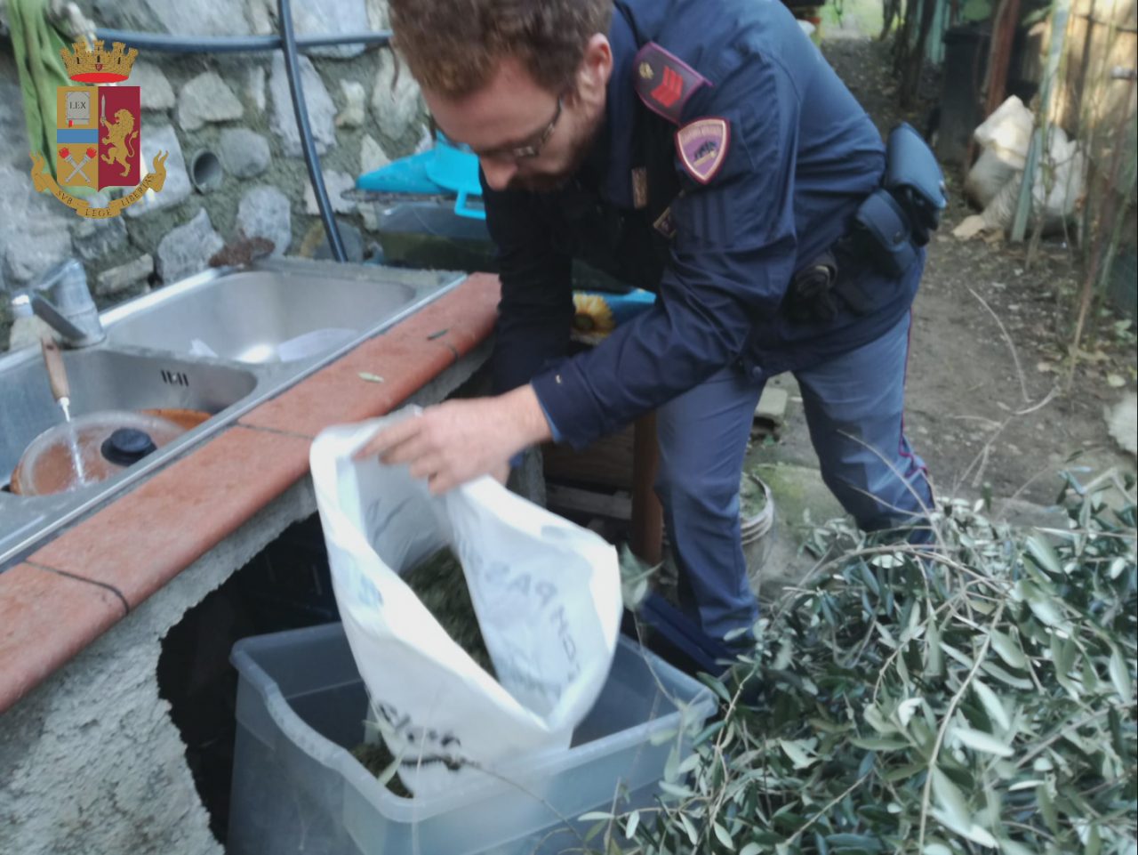 Coltivava marijuana in campagna, 52enne colto sul fatto dalla Polizia
