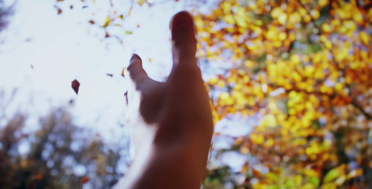 “Parchi, il mare verde della Liguria” al via la campagna della Regione