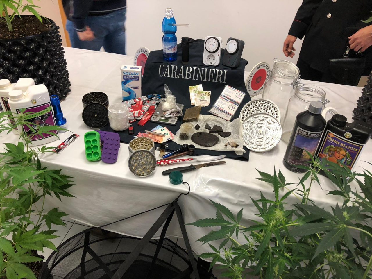 Imperiese arrestato coltivava e vendeva marijuana, hashish, cocaina ed ecstasy