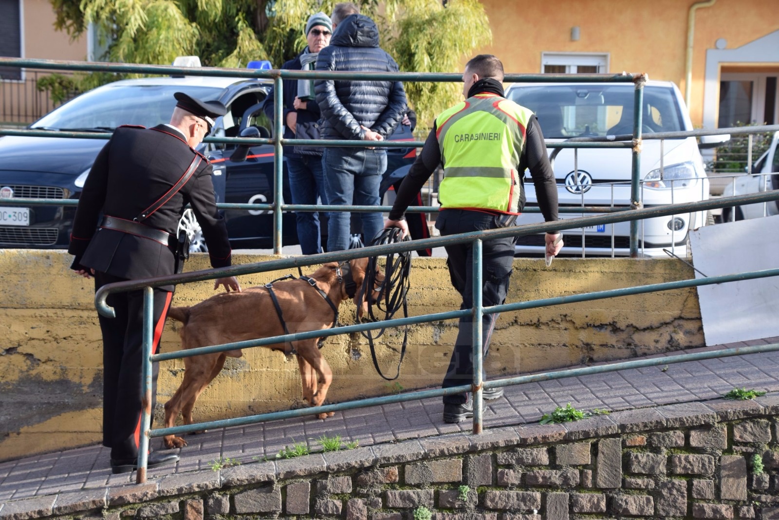 Ricerche Rita Martini Scomparsa Vallecrosia_05