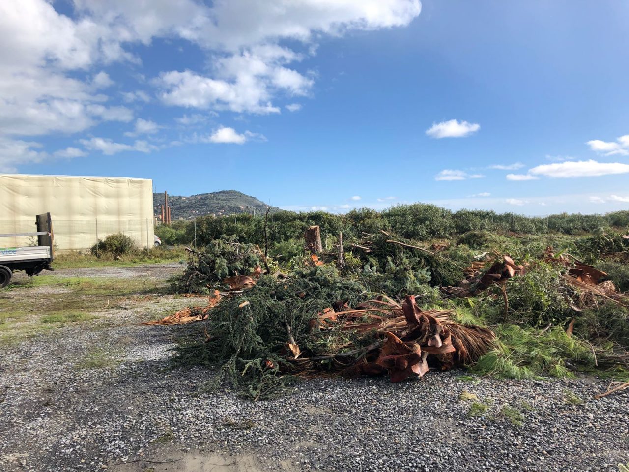 Maltempo a Imperia un punto per la raccolta dei residui vegetali