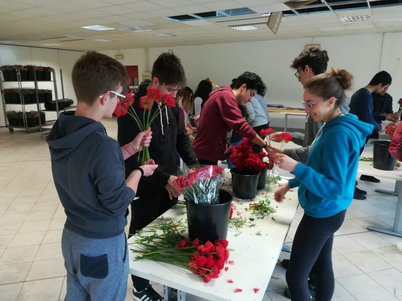Gli studenti del Colombo nel mondo della florovivaistica