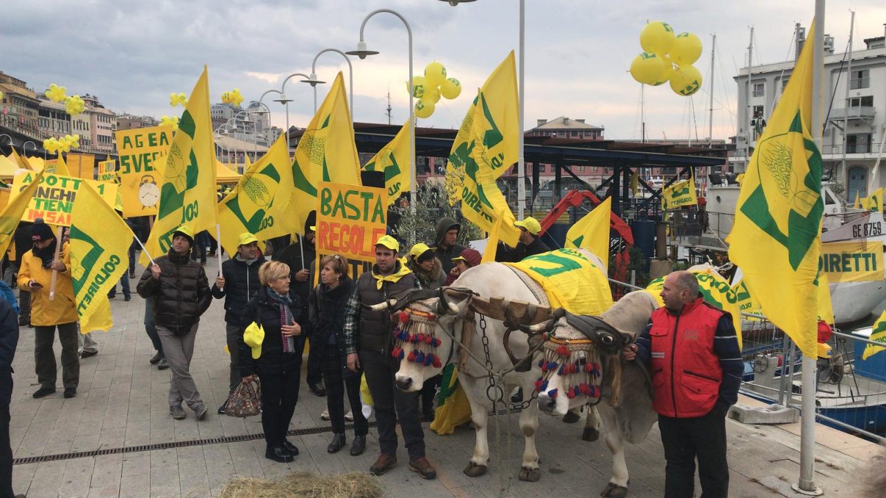 Crollo del Ponte Morandi:  100milioni di euro di danni per l’agroalimentare e la pesca