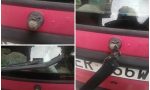 Vandali in via Galilei contro numerose auto in sosta. Divelti i tergiscristalli