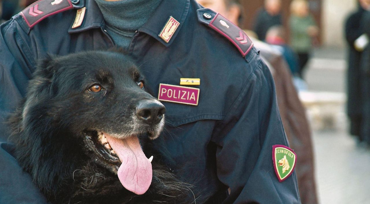 Sanremo: ecco i risultati del blitz della polizia nella Pigna