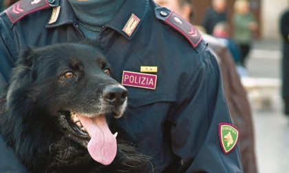 Sanremo: ecco i risultati del blitz della polizia nella Pigna