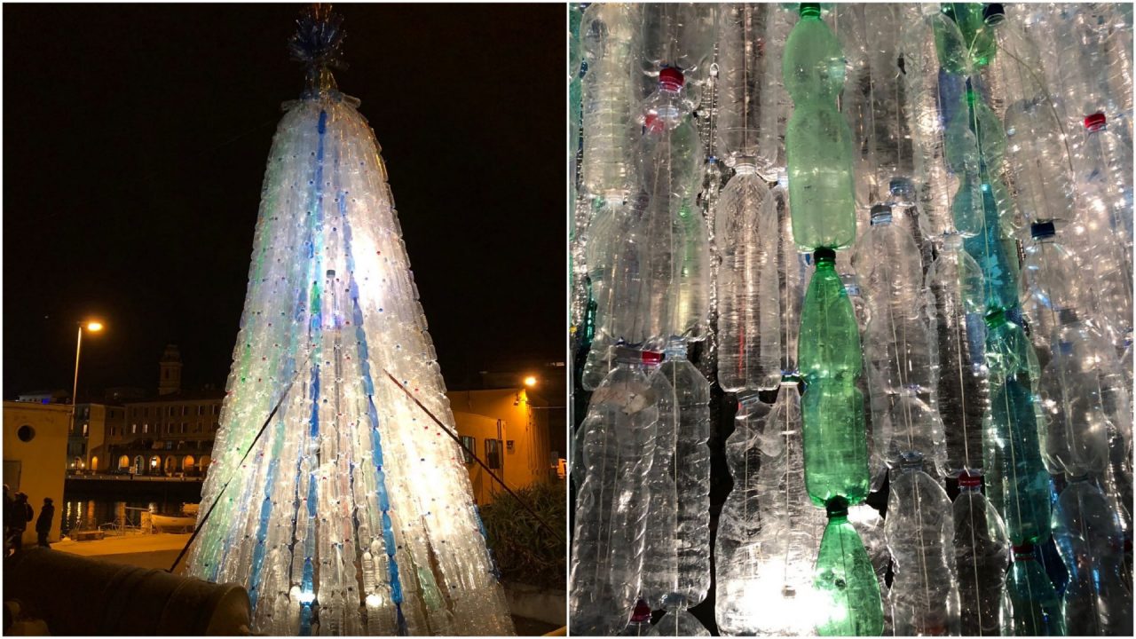 Si illumina l’albero di Natale a Oneglia formato da bottiglie di plastica riciclate