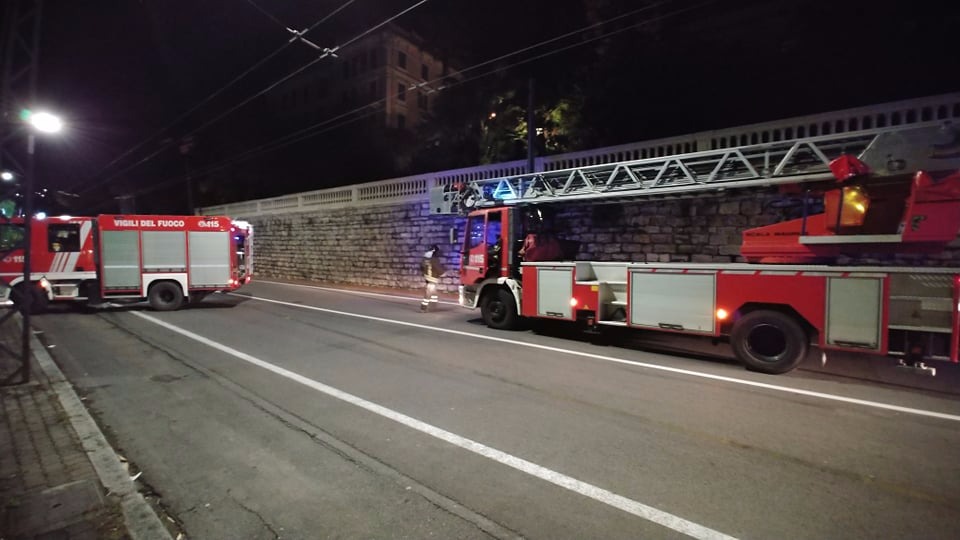 Grosso ramo minaccia di crollare: Aurelia chiusa a Ospedaletti