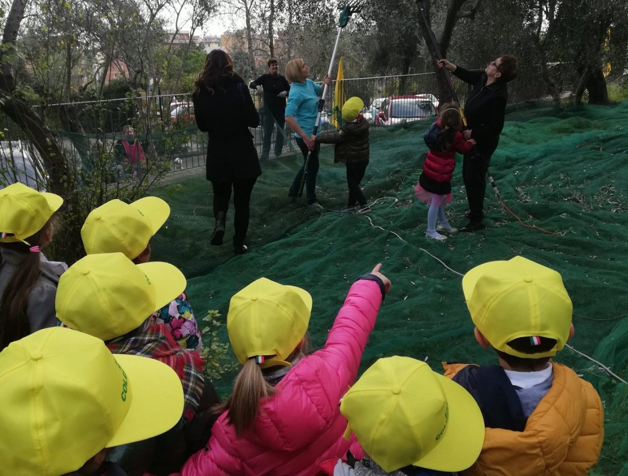 200 bambini olivicoltori per un giorno