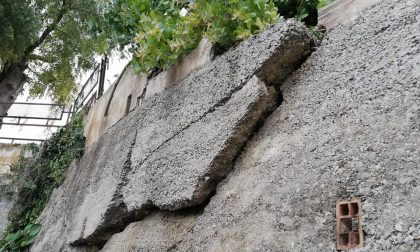 Rischiano di crollare alberi e muro della ex scuola di San Lorenzo