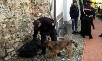 Blitz dei cinofili a Sanremo, sequestrato spinello fuori dalla scuola