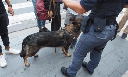 Due studenti incastrati dal cane anti-droga Kora