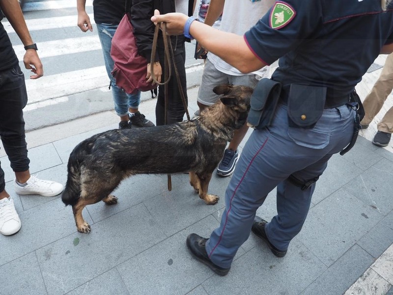 Due studenti incastrati dal cane anti-droga Kora