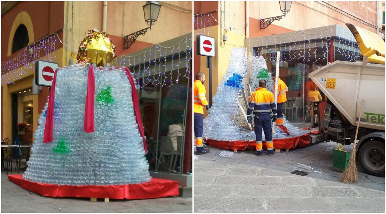 Imperiese immortala la fine prematura dell’albero di Natale ecologico