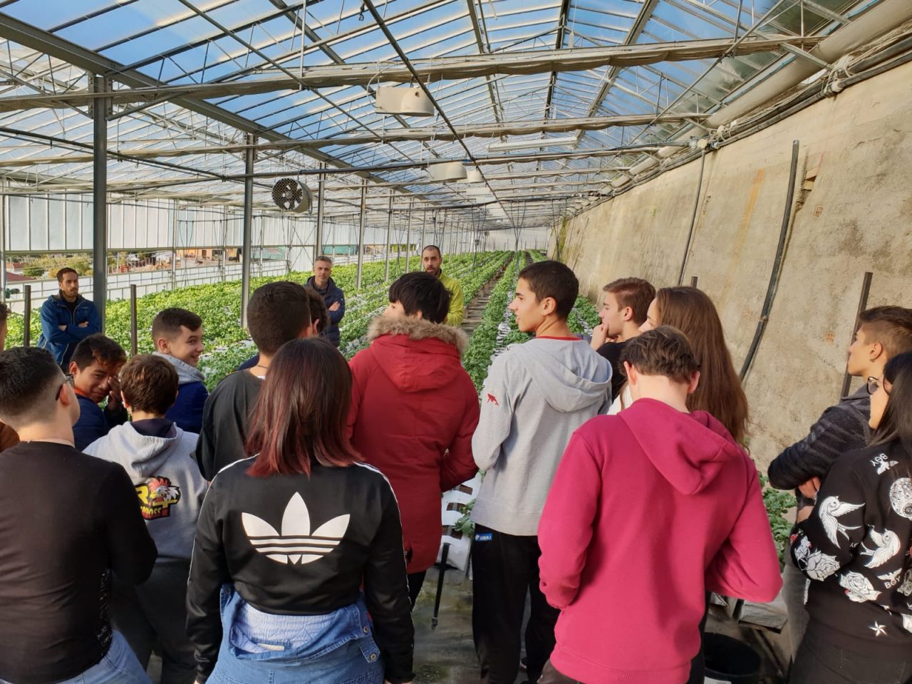 L’alimentazione al centro dei progetti scolastici finanziati dalla UE