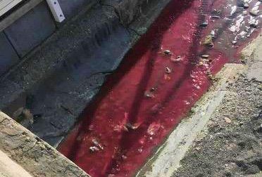 L'acqua scaricata in mare è color sangue, mistero a Bordighera