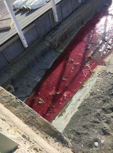 Bordighera acqua color sangue