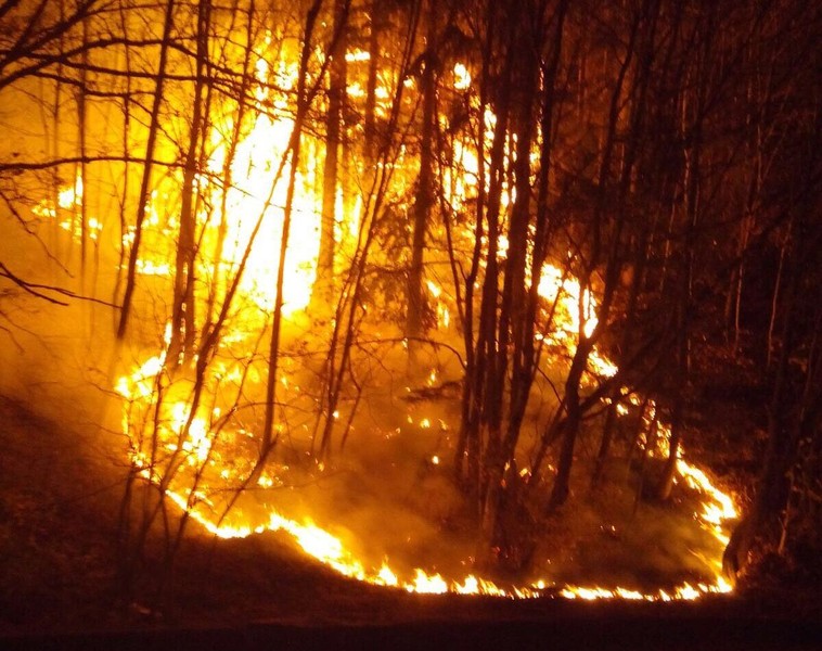 Dal 24 giugno scatta lo stato di grave pericolosità per gli incendi boschivi