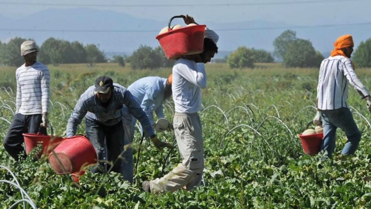 Tenuta agricola di Taggia acquistata per far lavorare immigrati e giovani svantaggiati