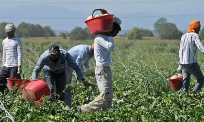 Tenuta agricola di Taggia acquistata per far lavorare immigrati e giovani svantaggiati