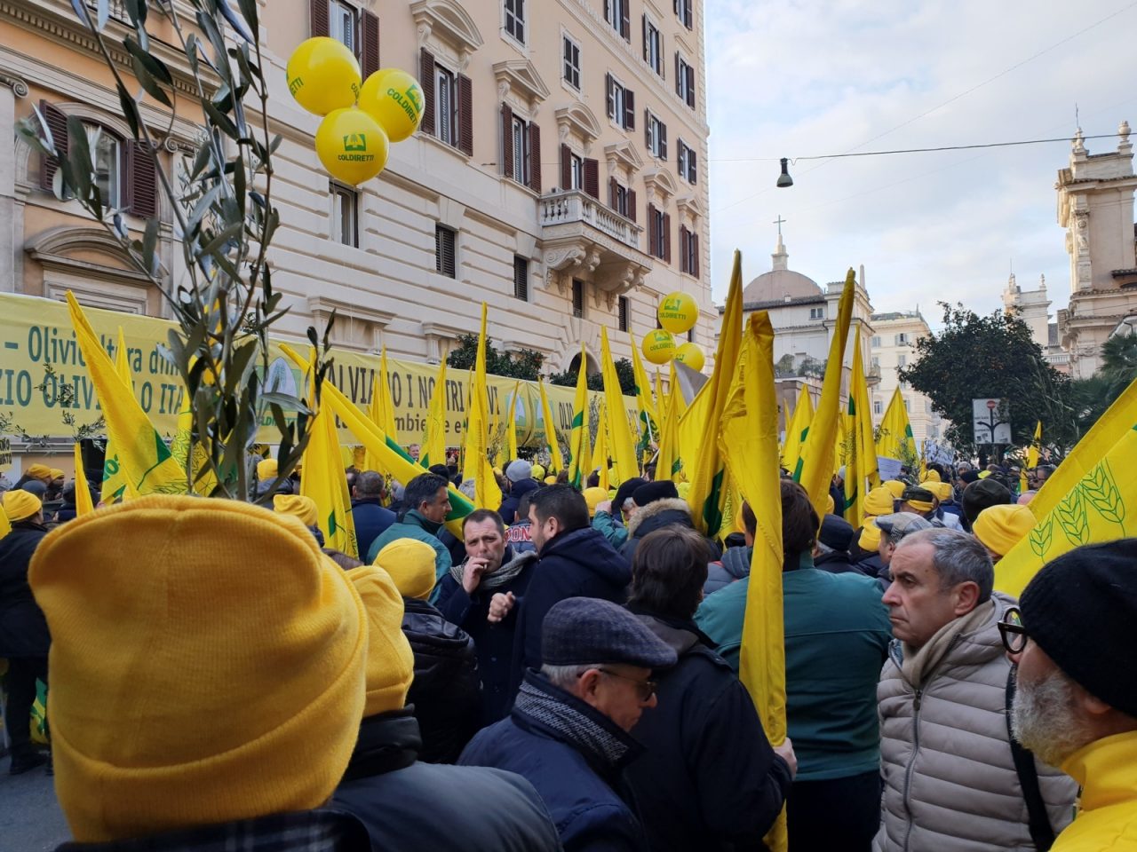 Agricoltori in piazza a Roma per difendere l’olio ligure