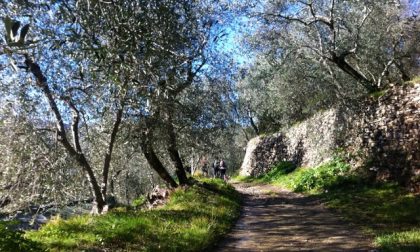 Ponente Experience: suggestiva escursione sull'anello Gazzelli-Chiusanico