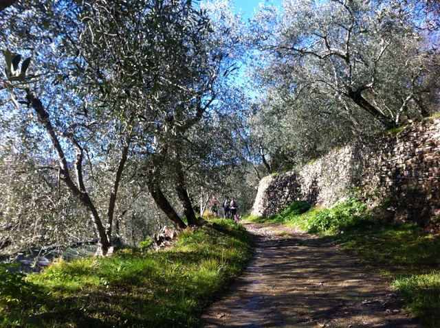 Ponente Experience: suggestiva escursione sull’anello Gazzelli-Chiusanico