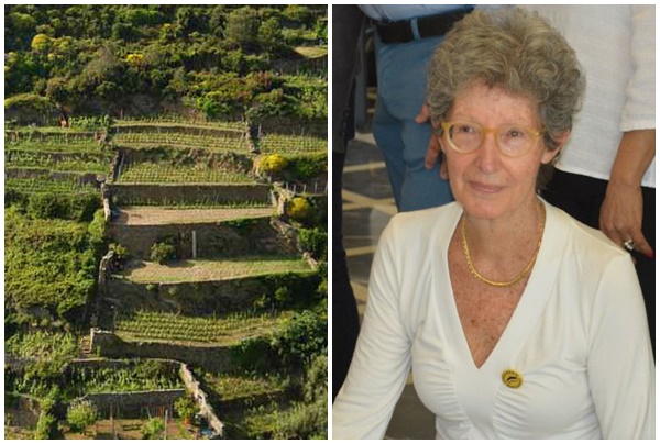 Civicamente Bordighera: Imu terreni spropositata va ridotta