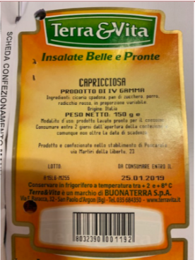 terravita-insalata-capricciosa