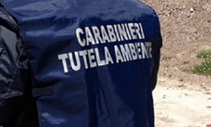 Vallecrosia: carabinieri riscontrano violazioni al depuratore