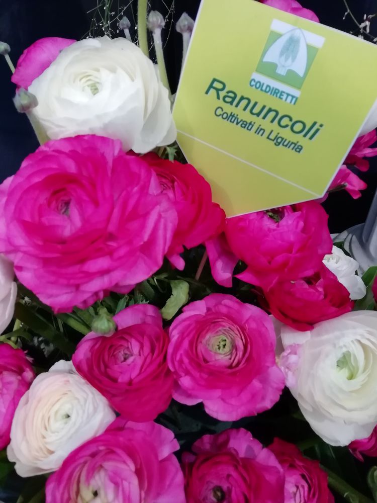 Fiori bouquet Sanremo