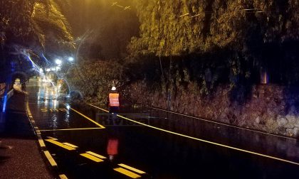 Crolla un albero sull'Aurelia a Pian di Poma, traffico bloccato