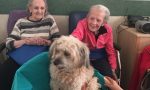 Pet Therapy alla residenza Franchiolo con Luna e Zara