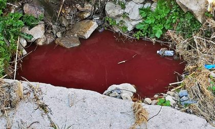 Il corso d'acqua è colorato di rosso a Ospedaletti