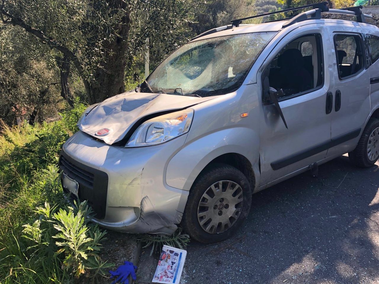 Auto travolge uomo mentre pota gli alberi