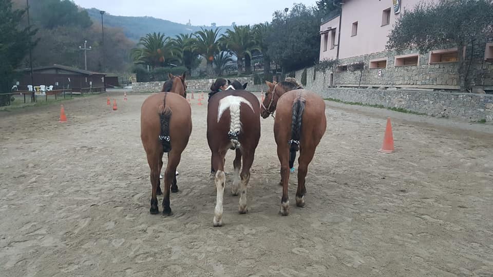 Domenica prossima il 1° Trofeo provinciale Csen di Equitazione